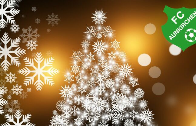 Frohe Weihnachten und einen guten Rutsch ins neue Jahr!