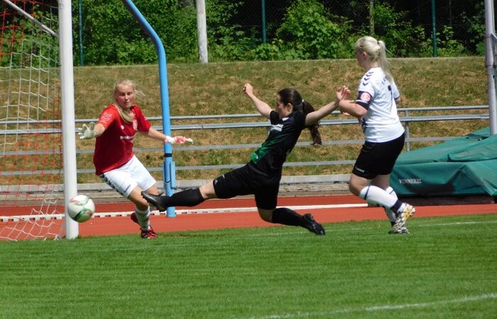 Damen I: Testspiel gegen SV Högl Taufkirchen