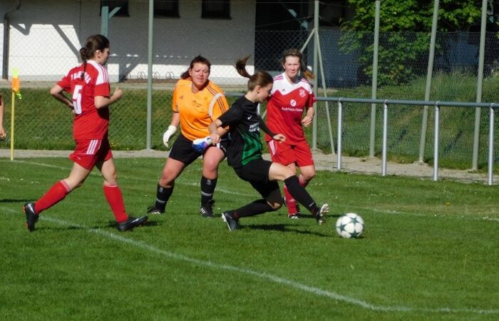Damen KL Ost: Aunkirchen fertigt Zenting ab